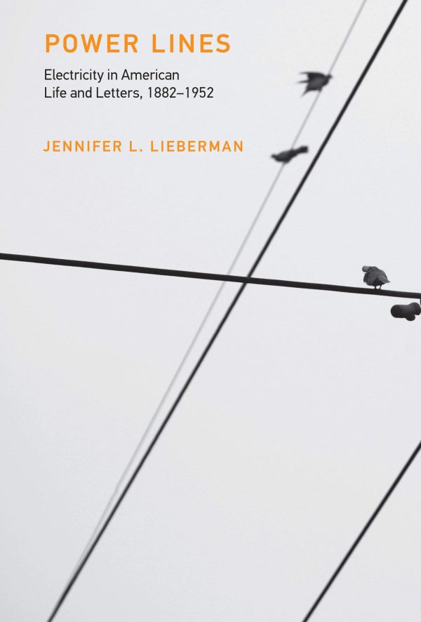 Power Lines (Electricity in American Life and Letters, 1882-1952)